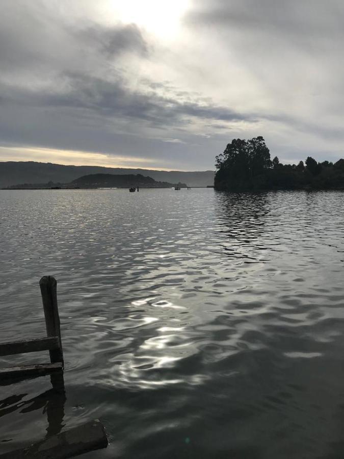 Hostel Isla Del Rey Valdivia Bagian luar foto