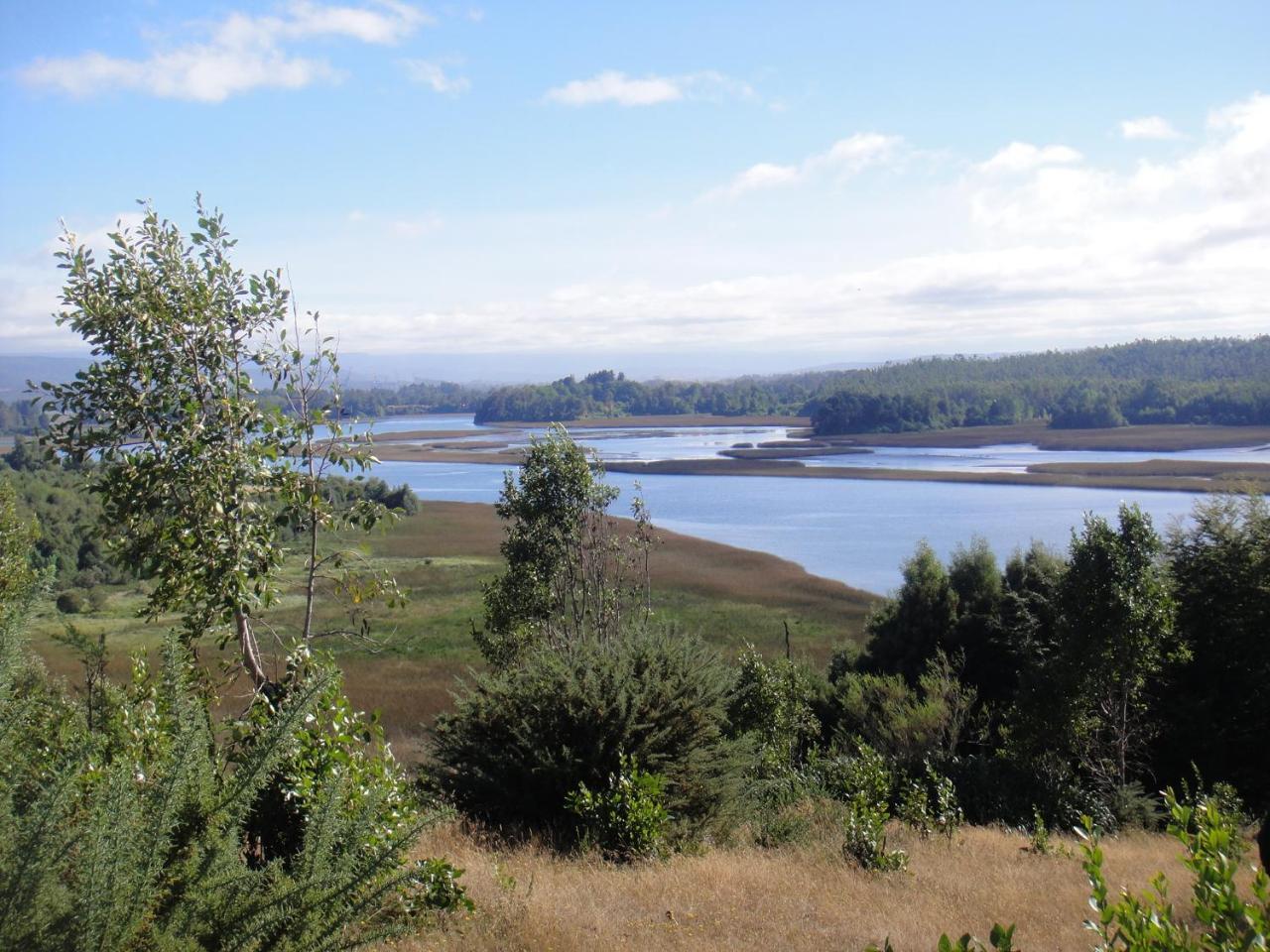 Hostel Isla Del Rey Valdivia Bagian luar foto